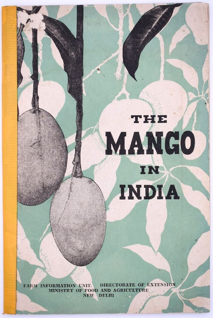 The Mango In India Image