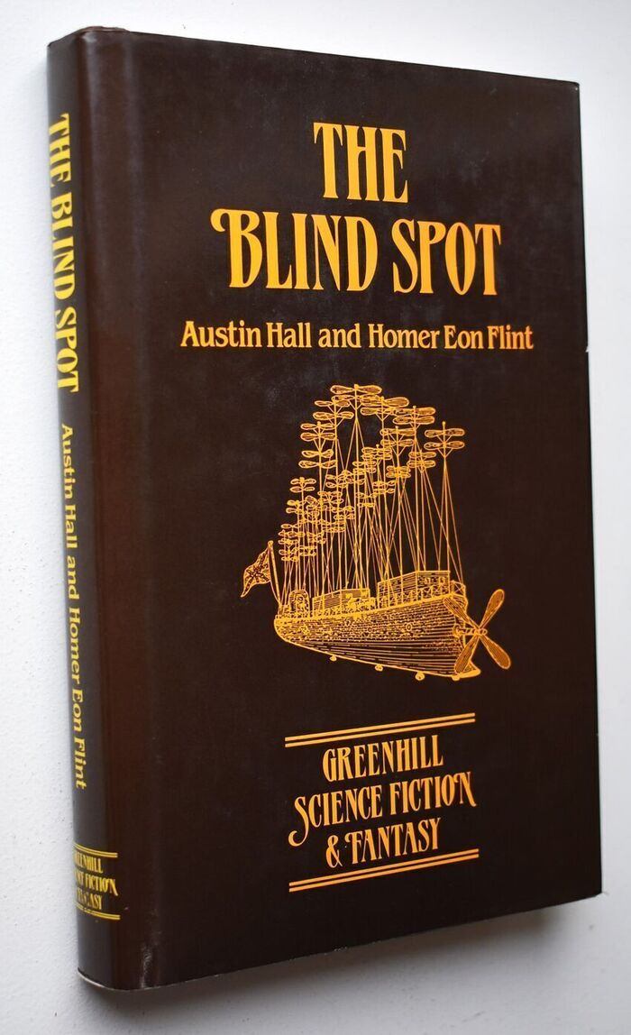 The Blind Spot Image