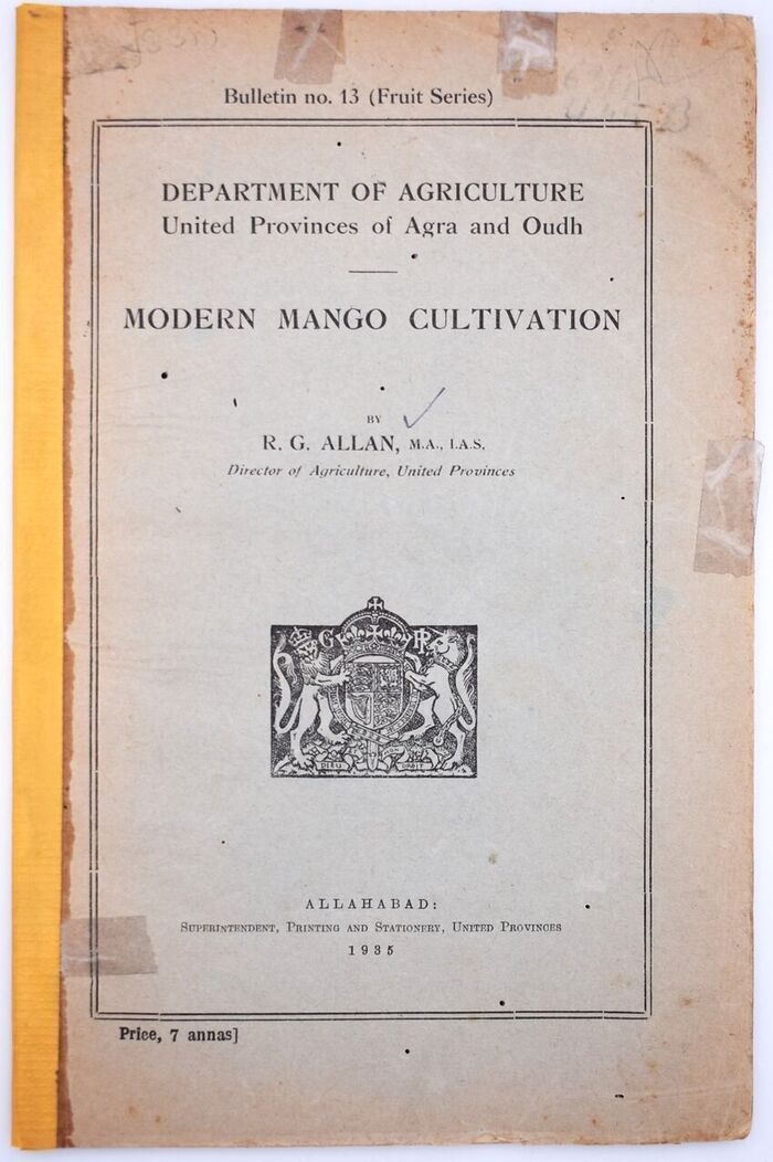 Modern Mango Cultivation Image