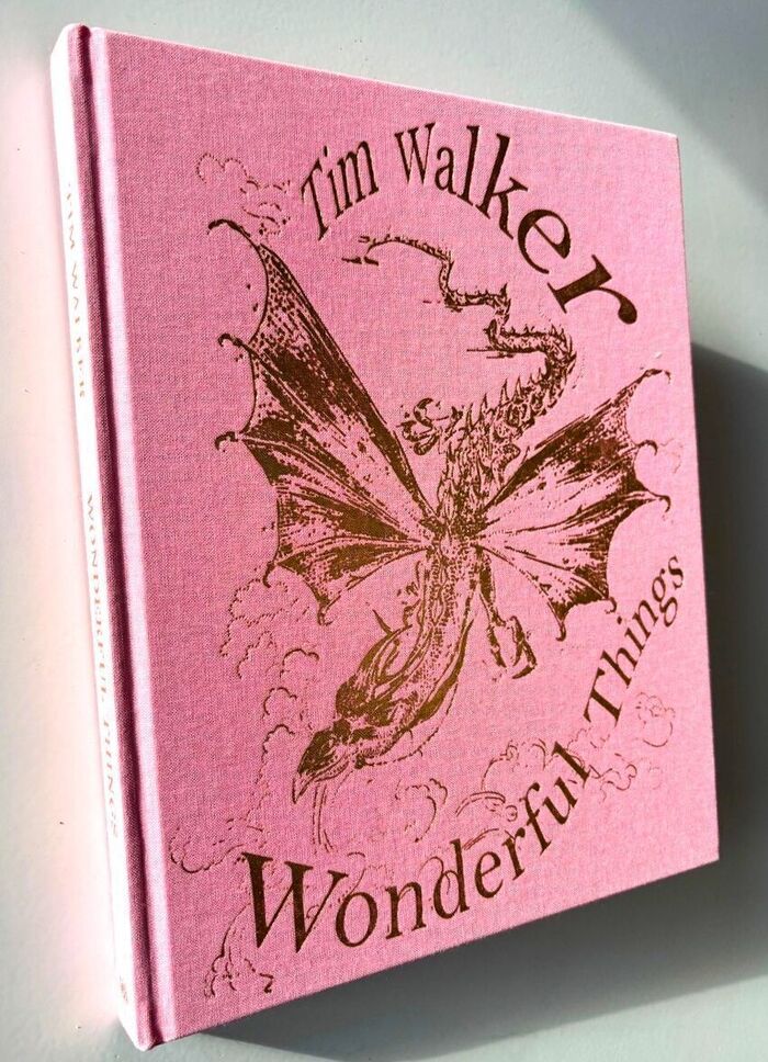 TIM WALKER Wonderful Things Image