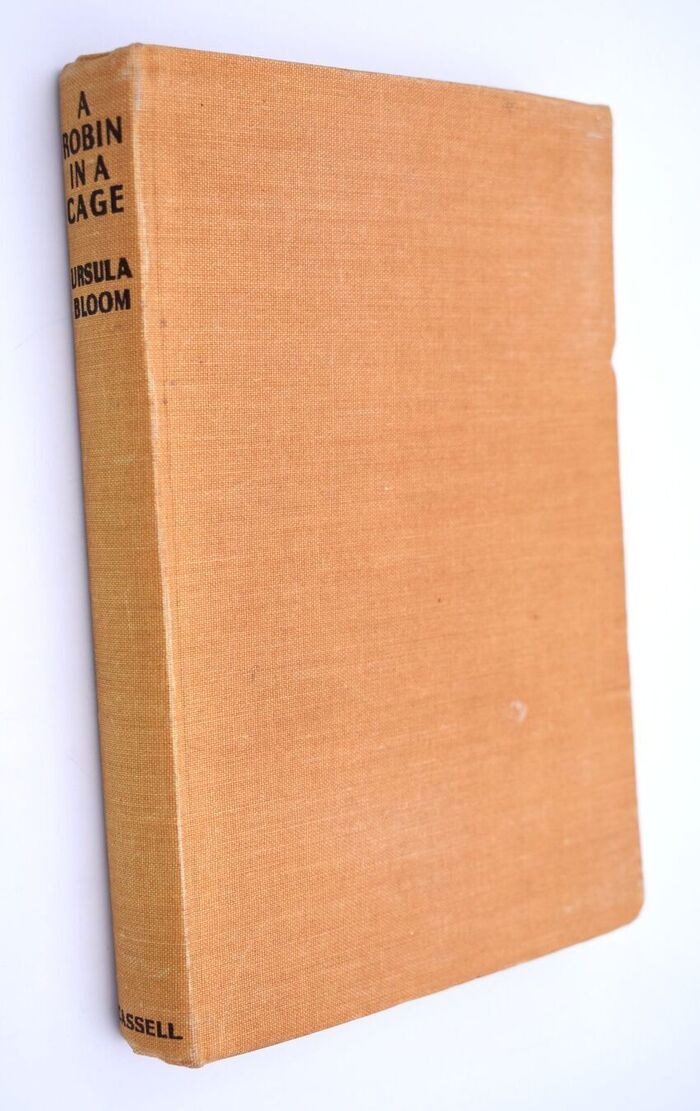 A Robin In A Cage Image