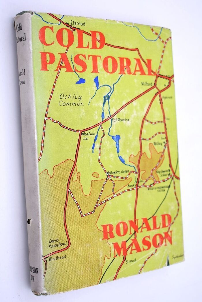 COLD PASTORAL A Novel Affair Image