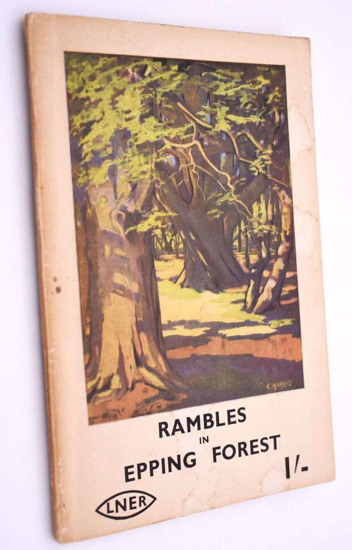 Rambles In Epping Forest Image