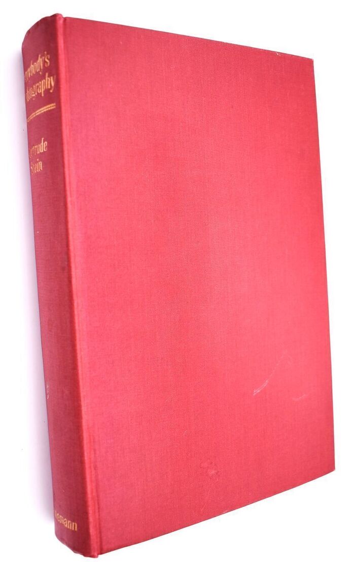 Everybody's Autobiography Image