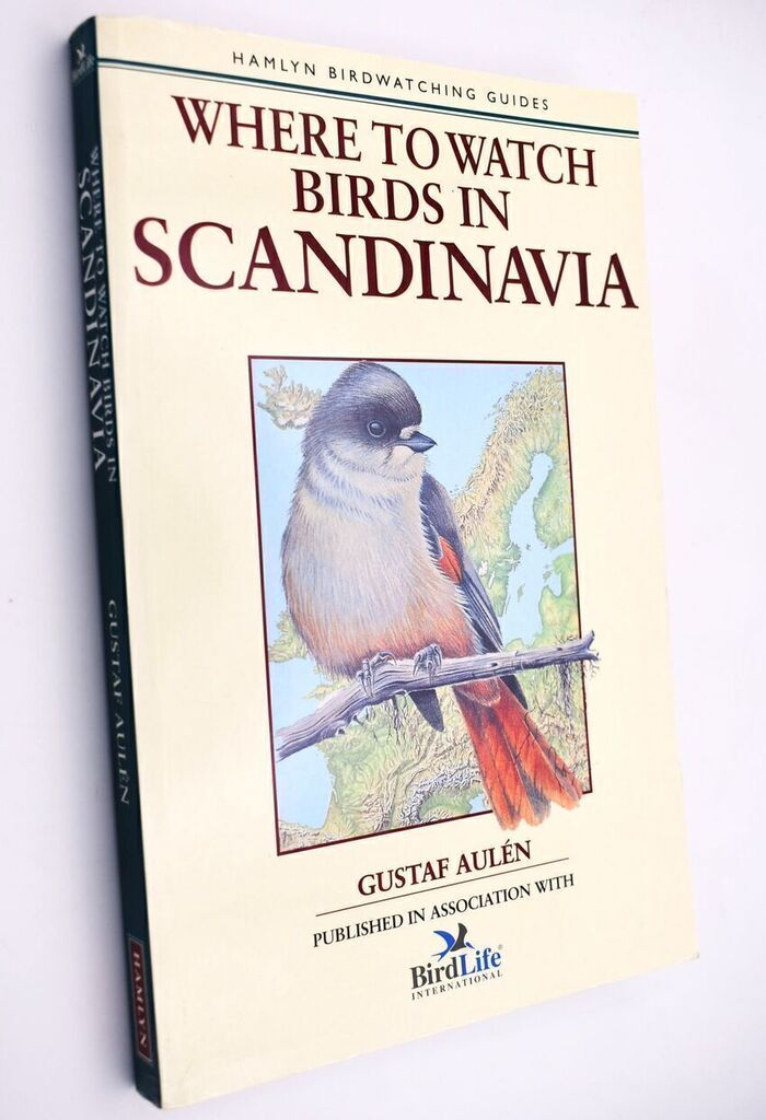 Where To Watch Birds In Scandinavia Image