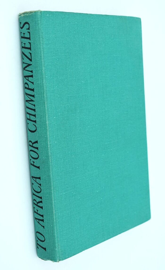 To Africa For Chimpanzees Image