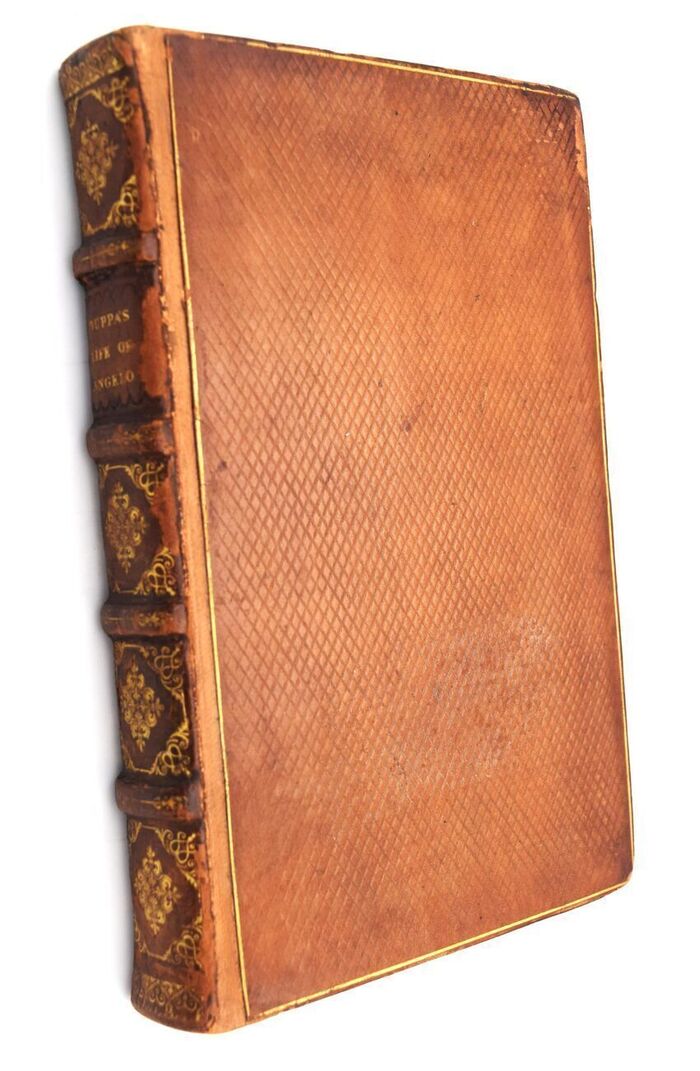 The Life of Michael Angelo Buonarroti Image