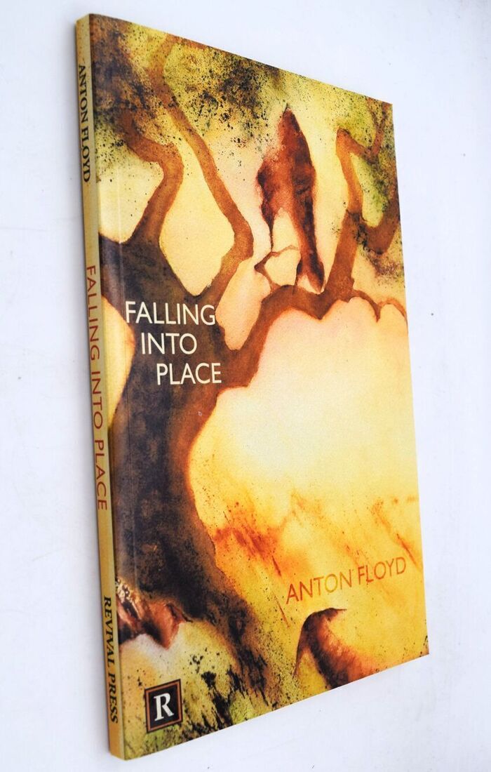 Falling Into Place [SIGNED] Image