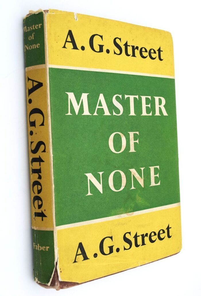 Master Of None Image