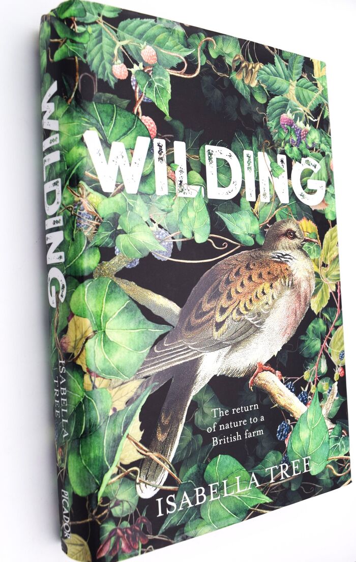 WILDING The Return Of Nature To A British Farm Image