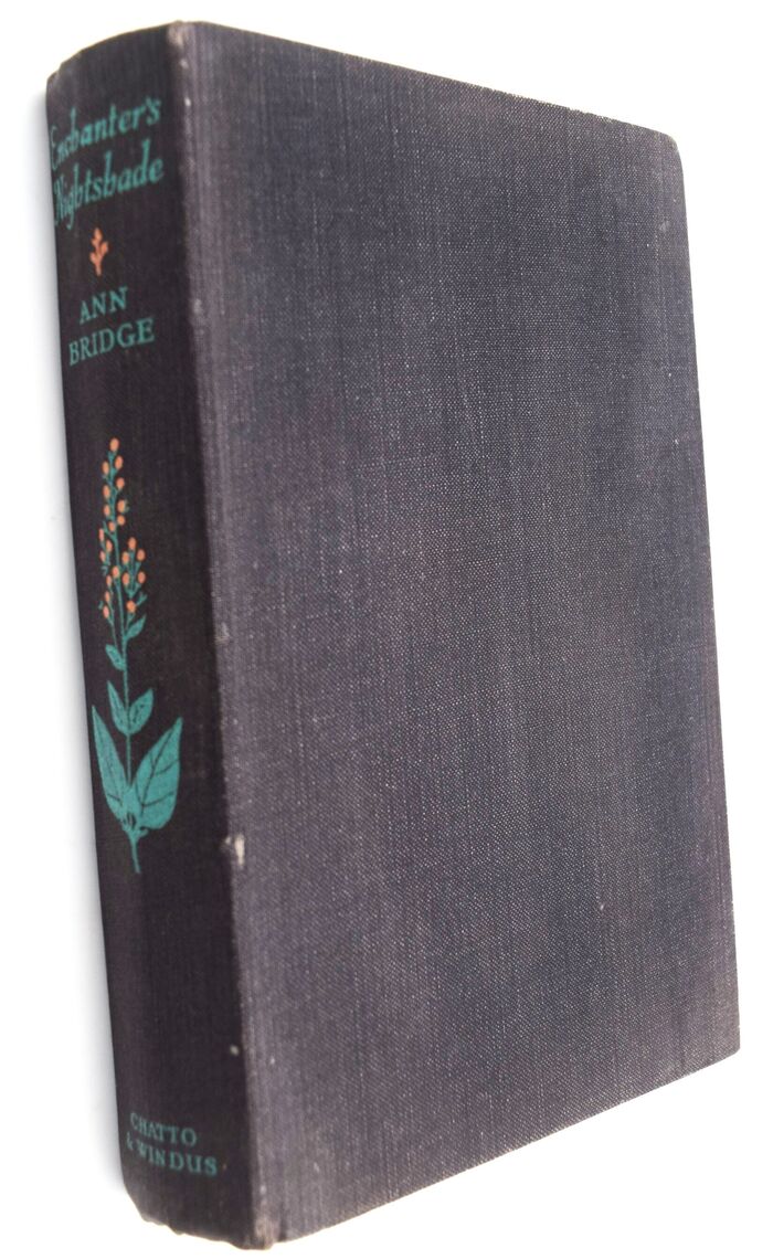 Enchanter's Nightshade Image