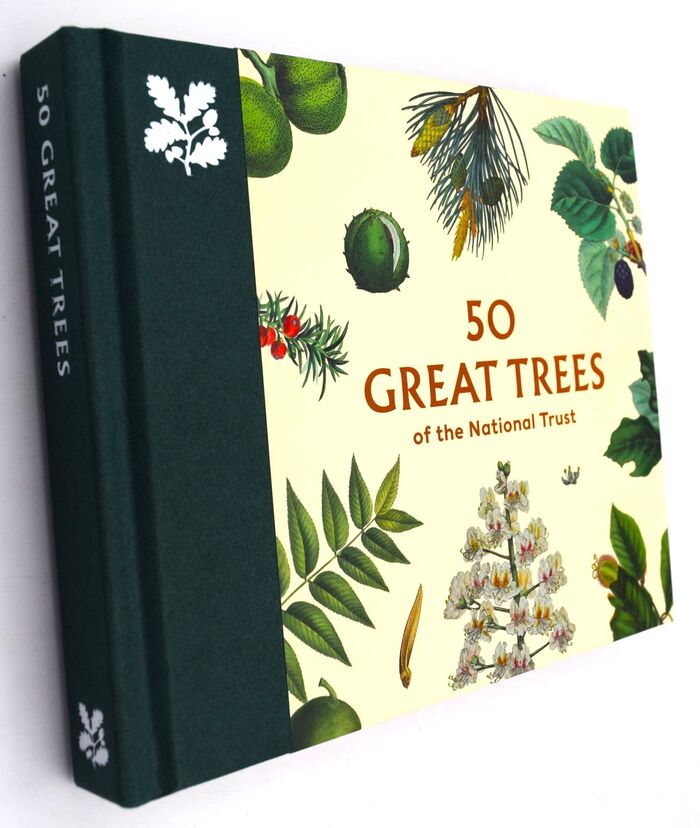 50 Great Trees Of The National Trust Image