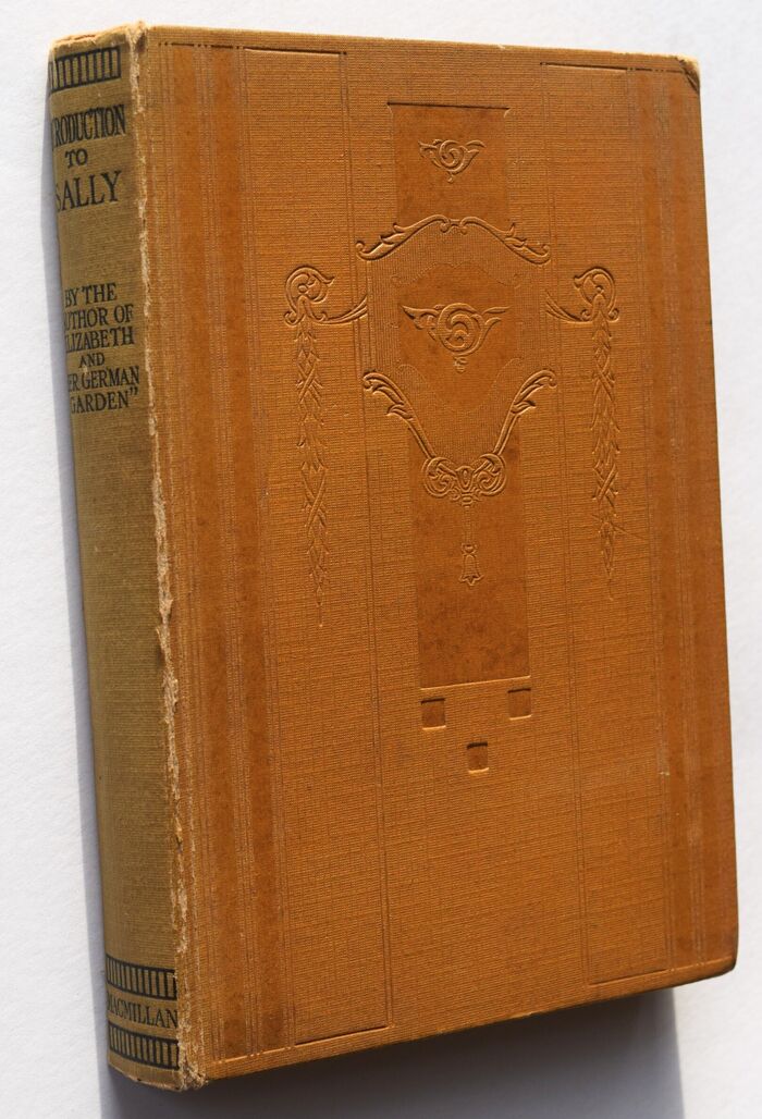 Introduction To Sally Image