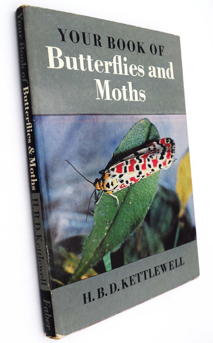 Your Book Of Butterflies And Moths Image