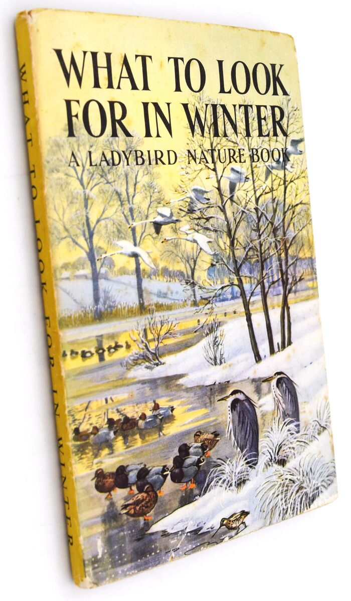 What To Look For In Winter Image