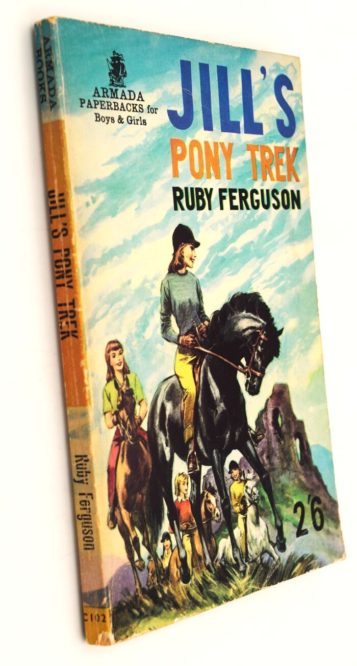 Jill's Pony Trek Image