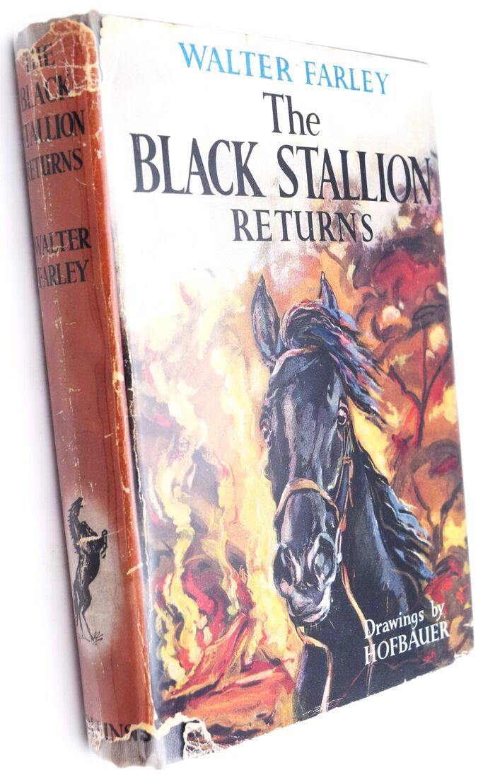 The Black Stallion Returns Image