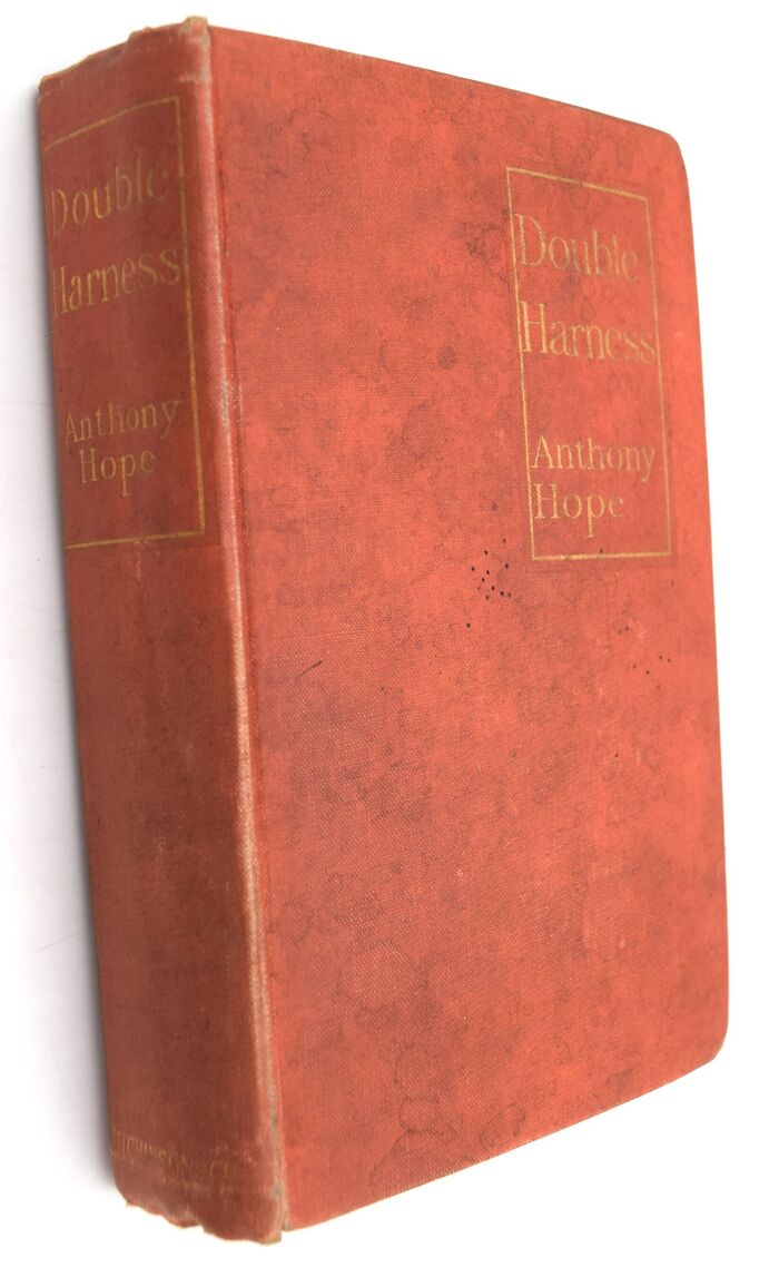 Double Harness Image