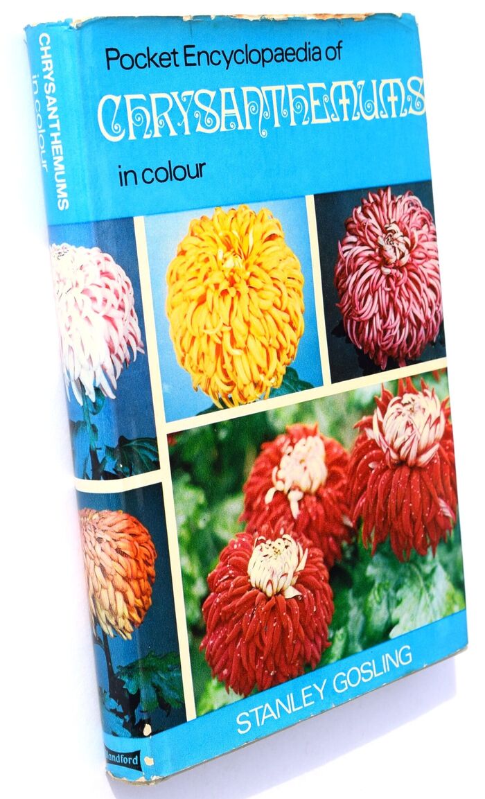 The Pocket Encyclopaedia Of Chrysanthemums In Colour Image