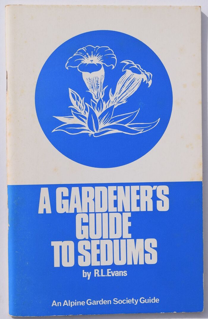 A Gardener's Guide To Sedums Image