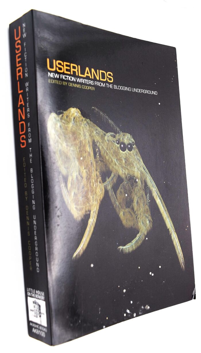 USERLANDS New Fiction Writers From The Blogging Underground  Image