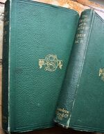 THE CASTLE AND THE COTTAGE IN SPAIN in two volumes