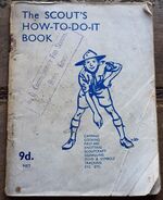 The Scout's How-To-Do-It Book