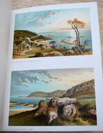 THE ISLAND OF JERSEY (First and Second Series) 24 Chromolithographic Views
