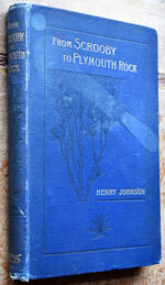 FROM SCROOBY TO PLYMOUTH ROCK Or The Men Of The Mayflower