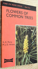 Flowers Of Common Trees