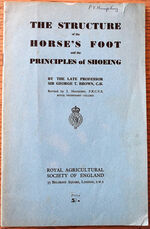 Structure of the Horse's Foot and the Principles of Shoeing