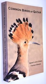 Common Birds Of Qatar