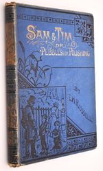 SAM AND TIM; Or, Pebbles For Polishing