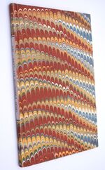 The Bye Laws Of The Borough And Town Of Great Torrington, In The County Of Devon, Enacted And Established By The Council, In The Year 1836