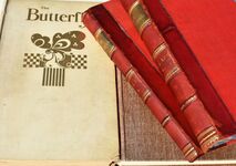 THE BUTTERFLY A Humourous And Artistic Monthly [Complete Run 1893-1894, 1899-1900]