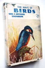 The Ways Of Birds