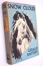 Snow Cloud