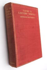 Nature In Eastern Norfolk