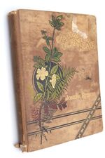 CABANGO: THE RESCUED SLAVE. A Tale Of The Sea