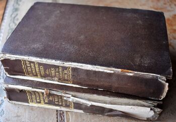 LIVES AND EXPLOITS OF ENGLISH HIGHWAYMEN, PIRATES AND ROBBERS in 2 volumes 