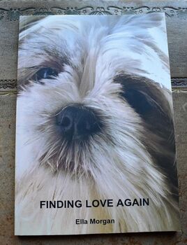 Finding Love Again [SIGNED]