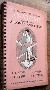 A Manual Of Human Anatomy Volume III Abdomen And Pelvis