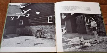 Florian's Farmyard