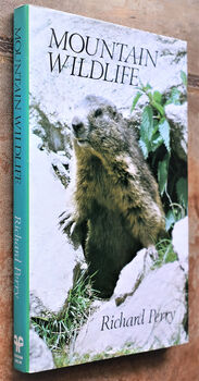 Mountain Wildlife
