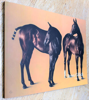 James Gillick THE HORSE