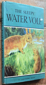 The Sleepy Water Vole