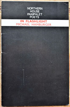 In Flashlight