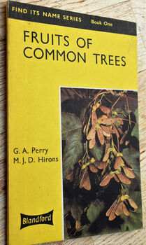 Fruits Of Common Trees