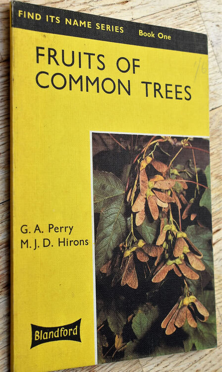 Fruits Of Common Trees