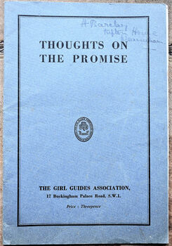 Thoughts On The Promise